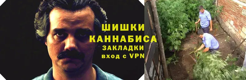 Бошки марихуана Bruce Banner  где продают наркотики  Кулебаки 